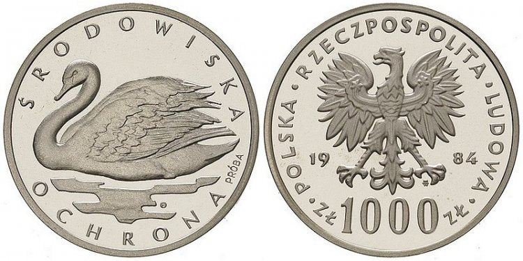 Łabędź