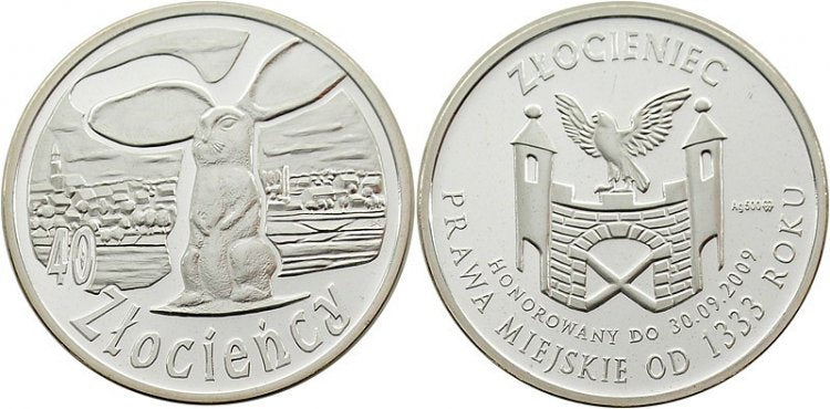 Złocieniec 40 złocieńcy