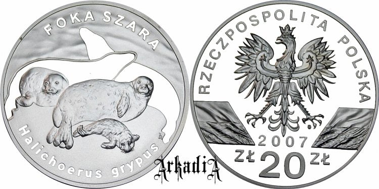 Foka szara