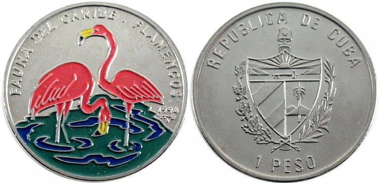 Fauna Karaibów - flamingi