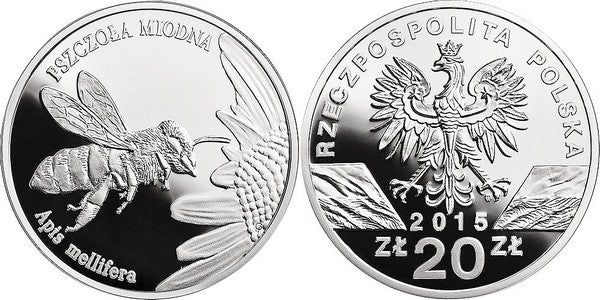 Pszczoła miodna