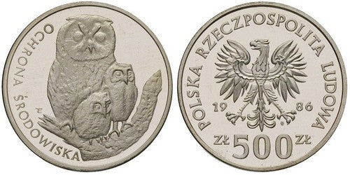 Sowa z młodymi