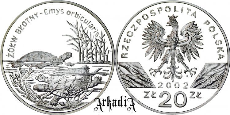 Żółw błotny