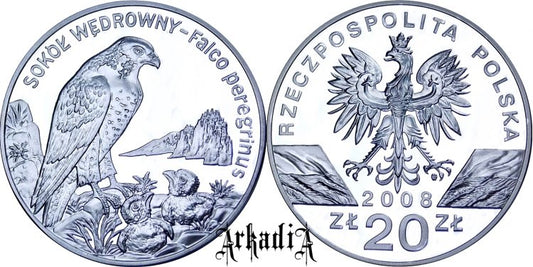 Sokół wędrowny