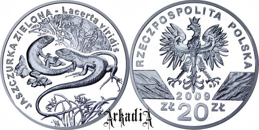 Jaszczurka zielona