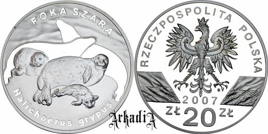 Foka szara