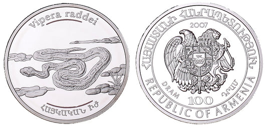 Zwierzęta Kaukazu - żmija