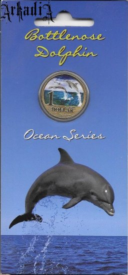 Ocean Series - delfin