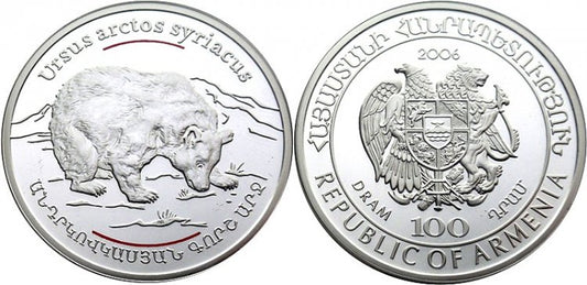 Zwierzęta Kaukazu - niedźwiedź