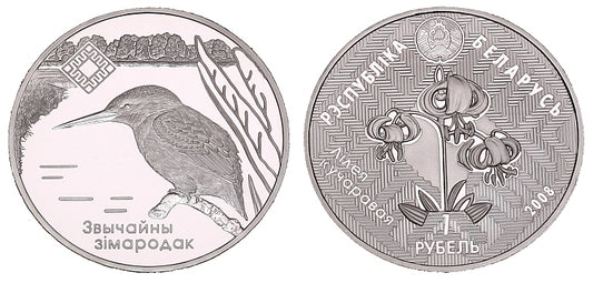Zwierzęta - zimorodek