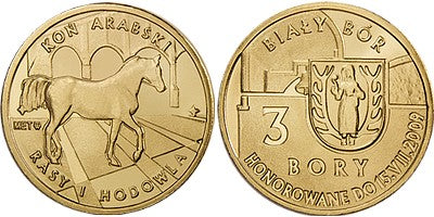 Biały Bór 3 bory
