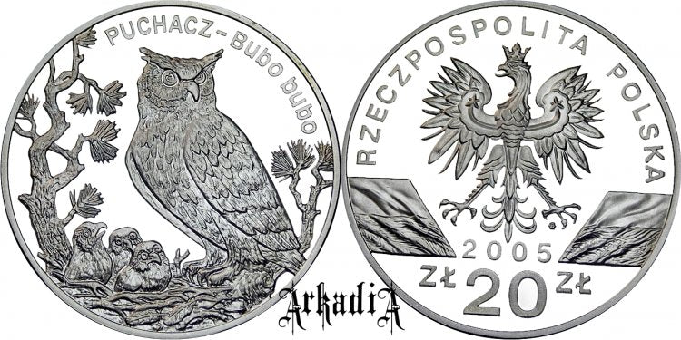 Puchacz