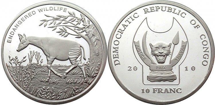 Zagrożone zwierzęta Afryki - okapi