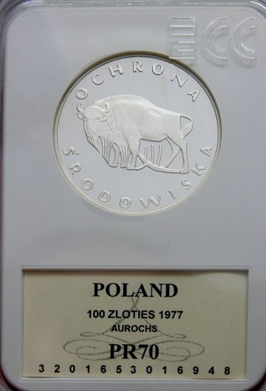 Żubr GCN PR 70