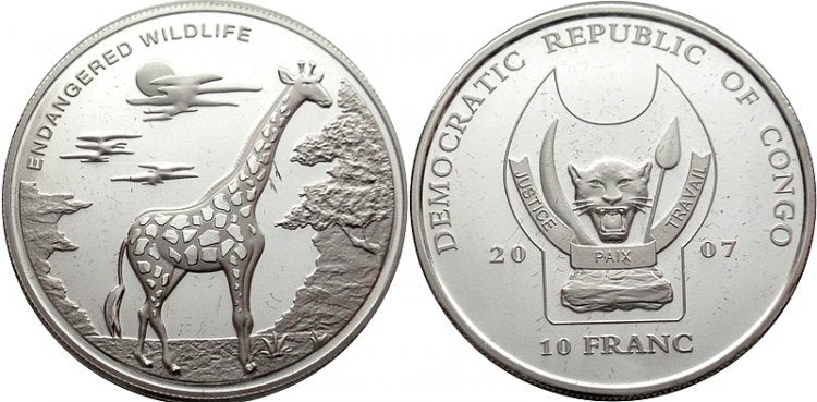 Zagrożone zwierzęta Afryki - żyrafa