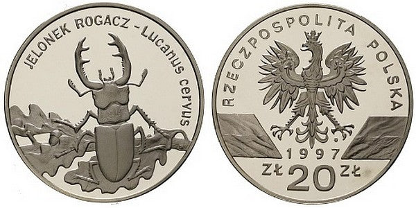 Jelonek rogacz