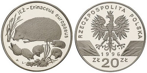 Jeż