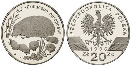Jeż