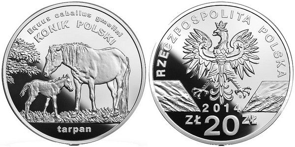 Konik polski