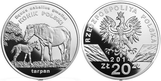 Konik polski