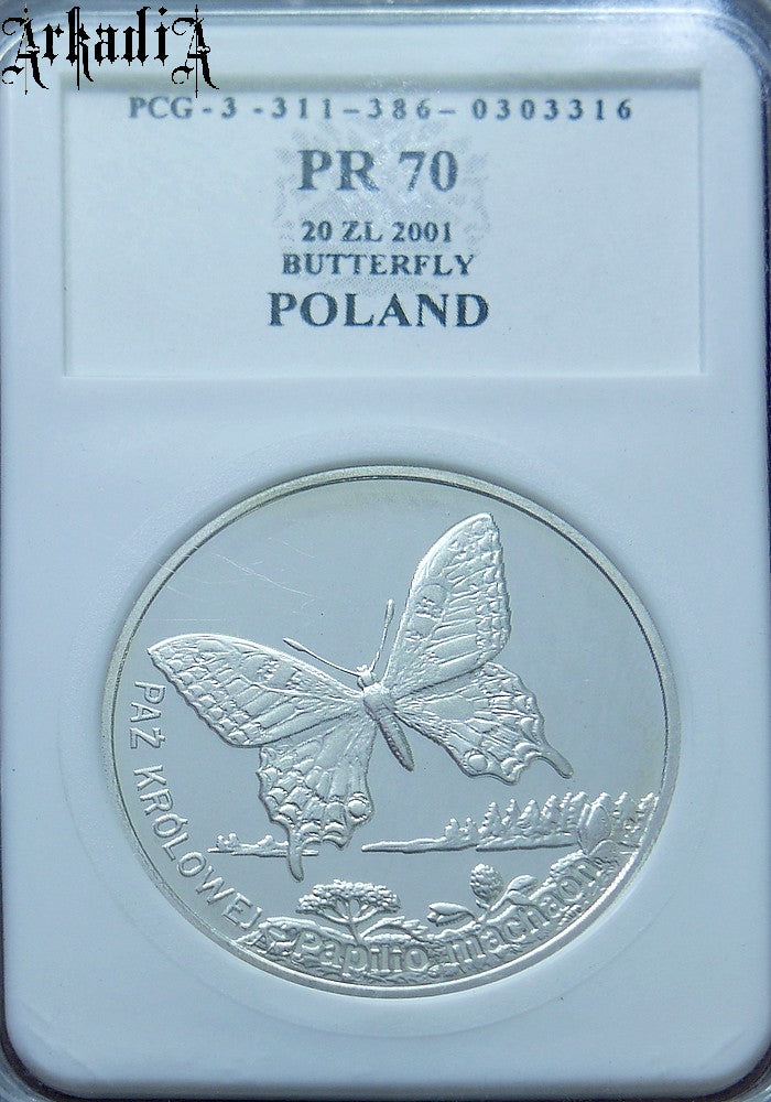 Paź królowej