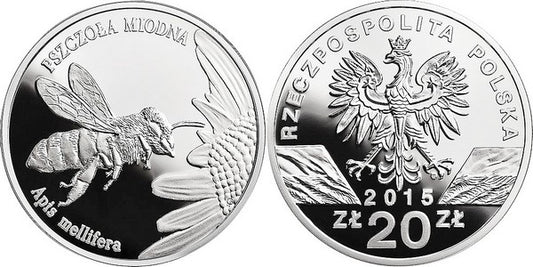 Pszczoła miodna