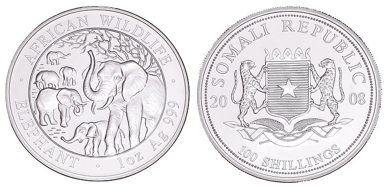 Słonie 2008