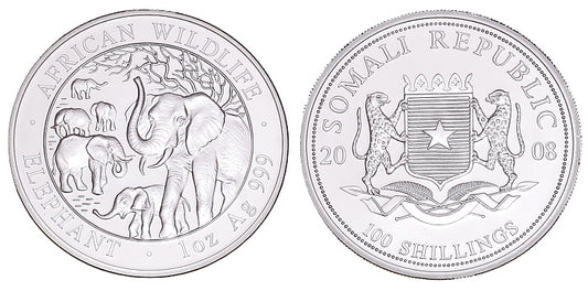 Słonie 2008