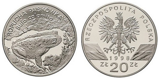 Ropucha paskówka